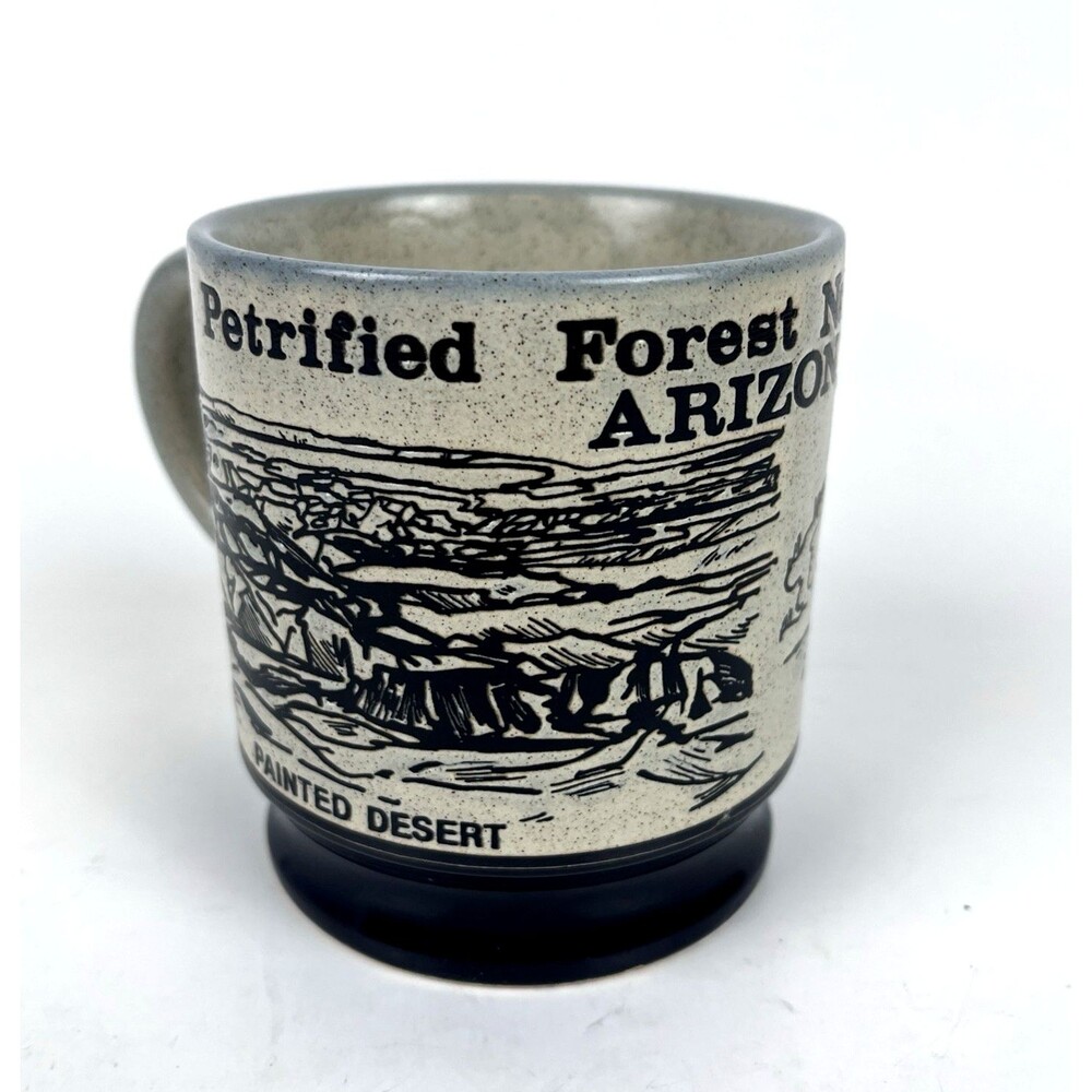 Vintage Petrified National Park Arizona Souvenir Coffee Cup Mug Painted Desert